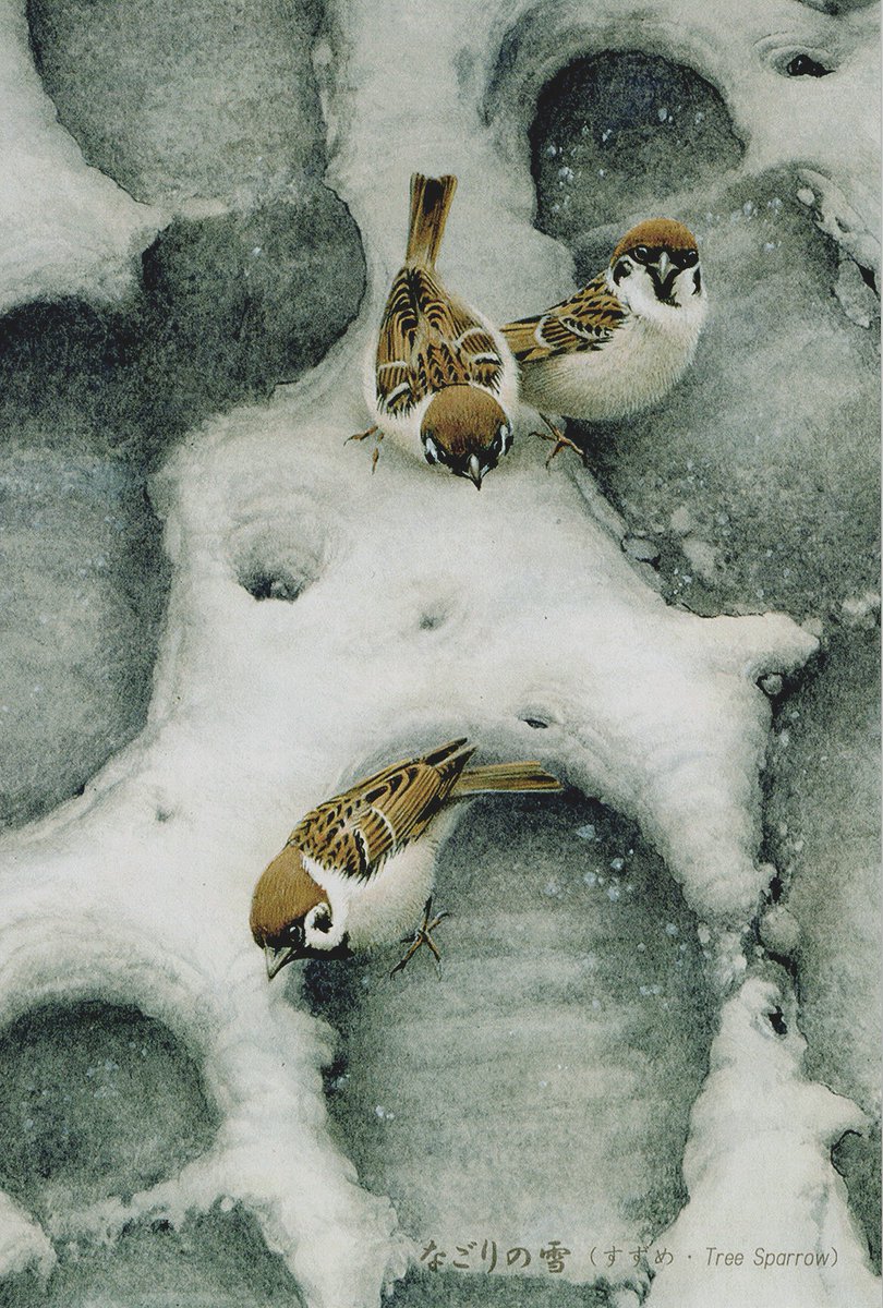 野鳥画家「木部一樹」アクリル画 うそ