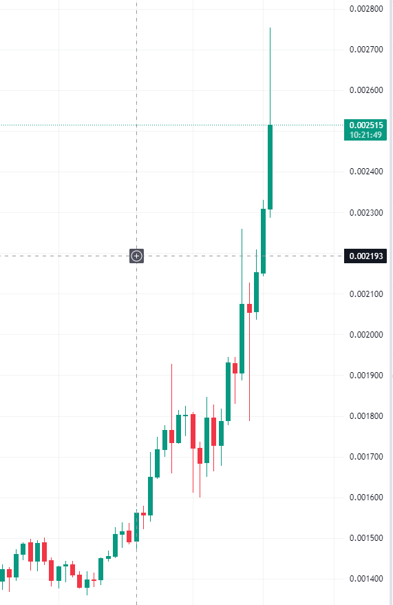 404Panda tweet media