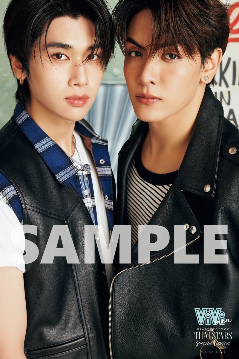 まるごと一冊タイイケメン Vol.2 特別版【ポストカードセット特典