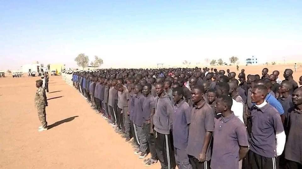 ملك عقار الاسد