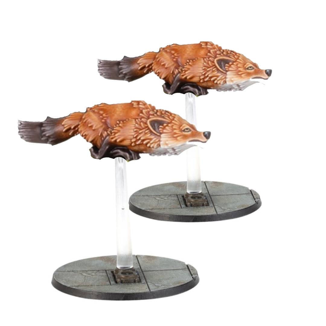 Jake Ozga tweet media