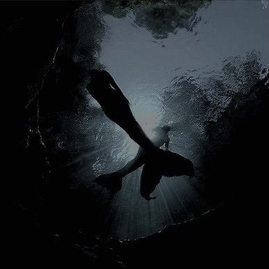 S1RENJ30NGYE0N's tweet photo. ~sweet songs angelic voices~

Let me help you but don't fall to deep...

Wouldn't want you to float away from me...

~siren twice~ https://t.co/Psu8oBRY1M