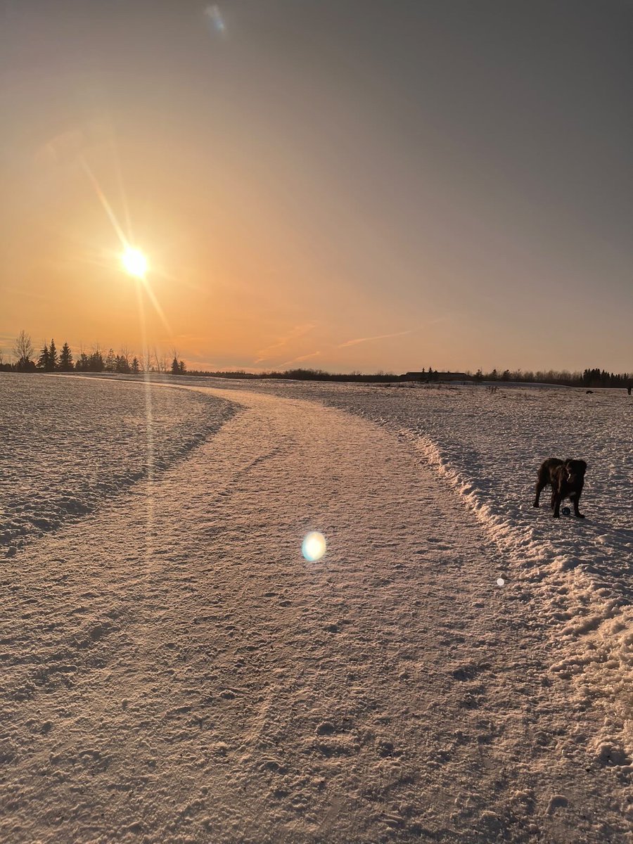 Are we on third or fourth winter? We've lost count. 😅 Embracing the last few scenes of winter (we can hope anyway 🤷🏽) at the Oxbow Off-Leash Dog Park. Have a warm and cozy weekend! Instagram 📷️ by @falynne_rae Thanks for sharing with us! Tag us in your photos to be featured.