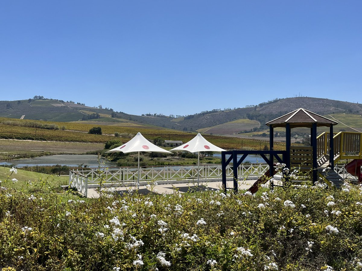 Sometimes good company, a stunning view and yummy 🧀 &amp; 🍷, is all you need. <a href="/MulderboschV/">Mulderbosch Vineyards</a>