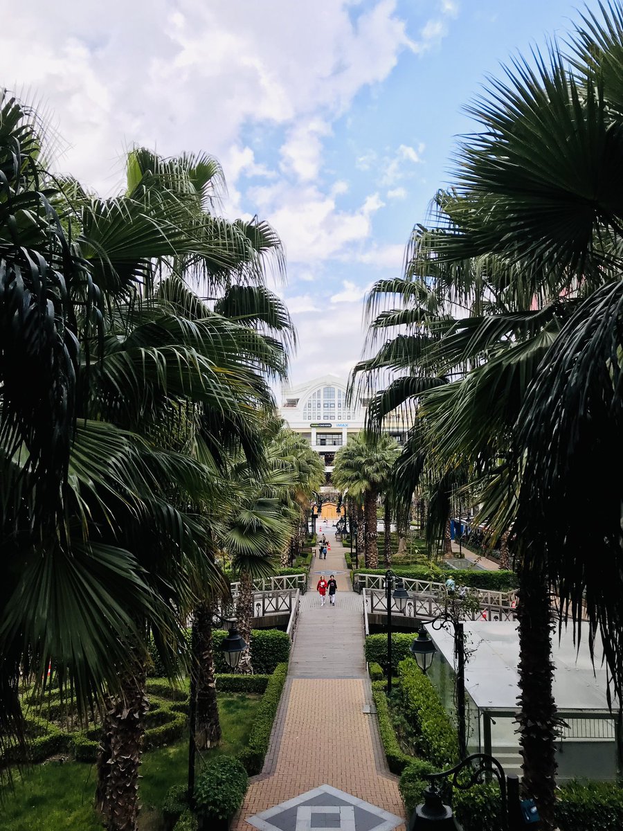 MaviBahçe’nin kendine has peyzajı sayesinde kendinizi tropikal bir cennette bulabilirsiniz 🌴

#mavibahçe