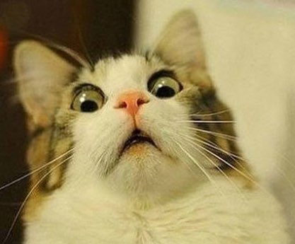 A16LET (@a16_let) on Twitter photo 