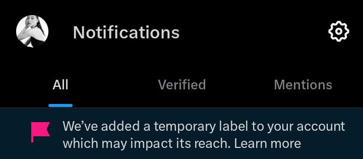 ELON BERULAH MULU ANYING, GUE BARU BUKA TWT 😊😊😊😊