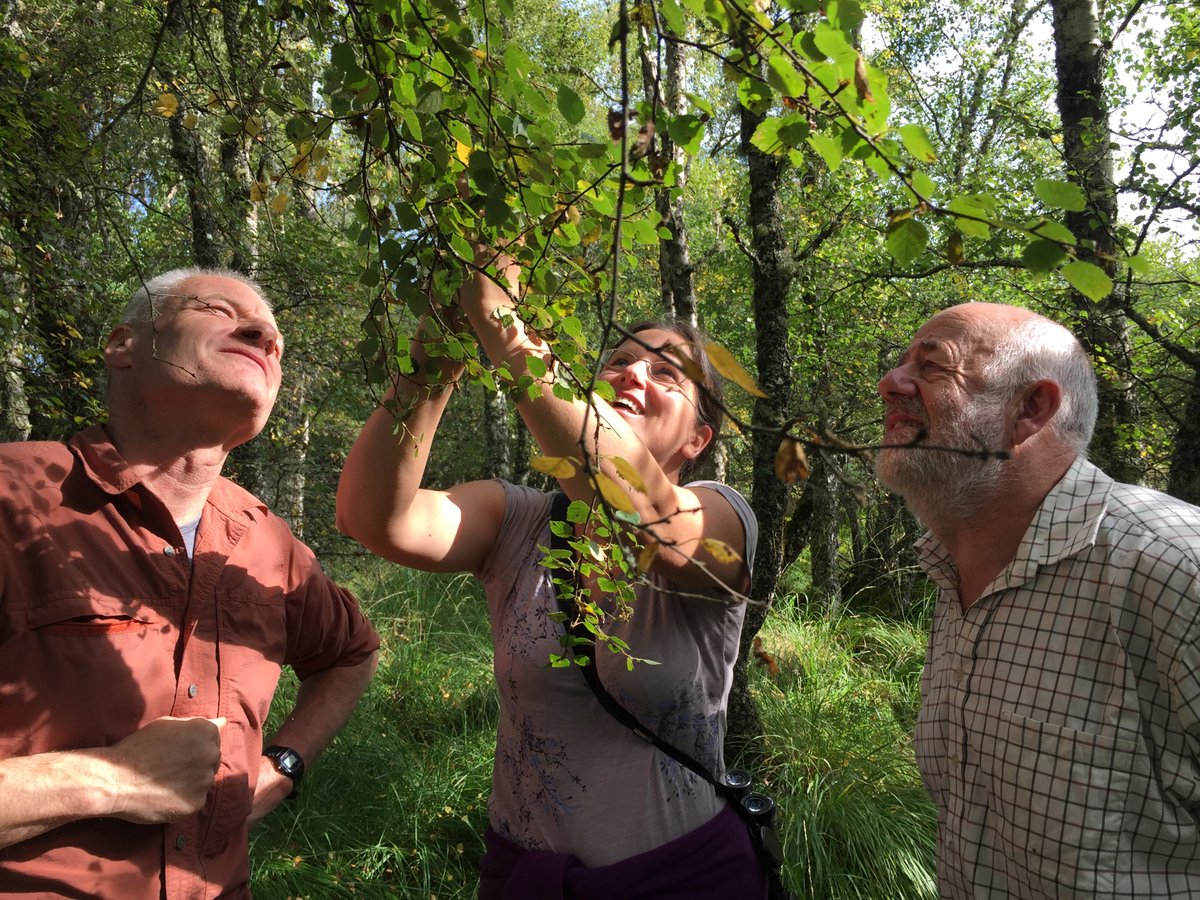 Seeking volunteers to help manage Ledmore and Migdale Woods - our most northerly site in the UK. Woodland Working Groups are a great way to socialise, keep fit and get some fresh air. And its so satisfying to play a part in looking after woods you love. buff.ly/41vg9BS