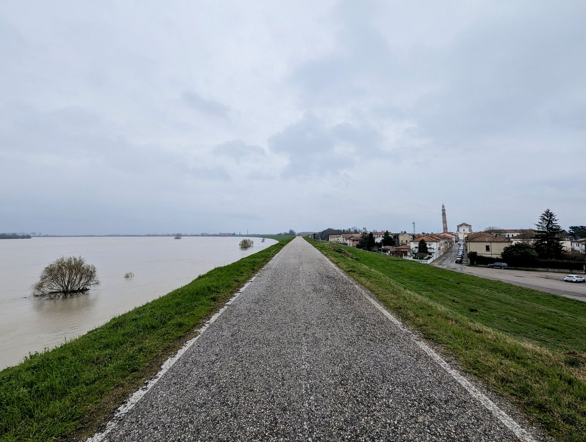 prolocoficarolo's tweet photo. Ci siamo, è arrivato quel momento della piena del Po quando il livello del fiume raggiunge l'altezza delle case. Tutto normale e non preoccupante per noi, ma se non l'avete mai visto.... 👀🫨 https://t.co/WHTcxKFQvR
