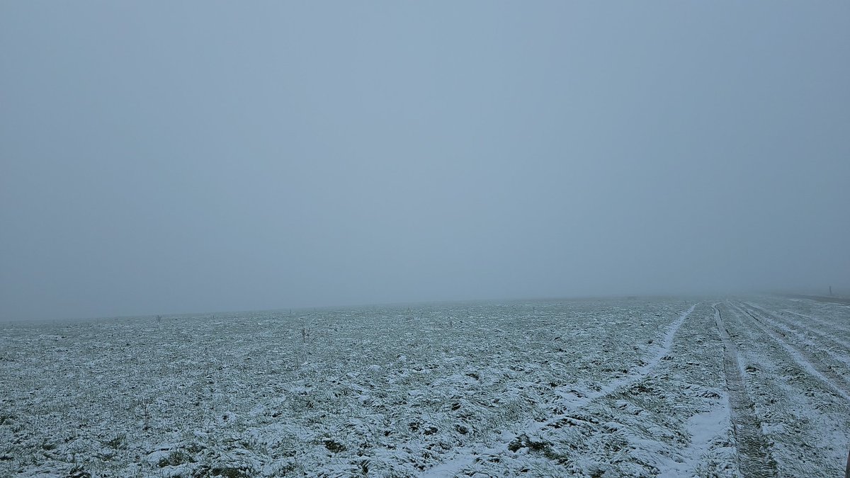 Unexpected snow in the shire