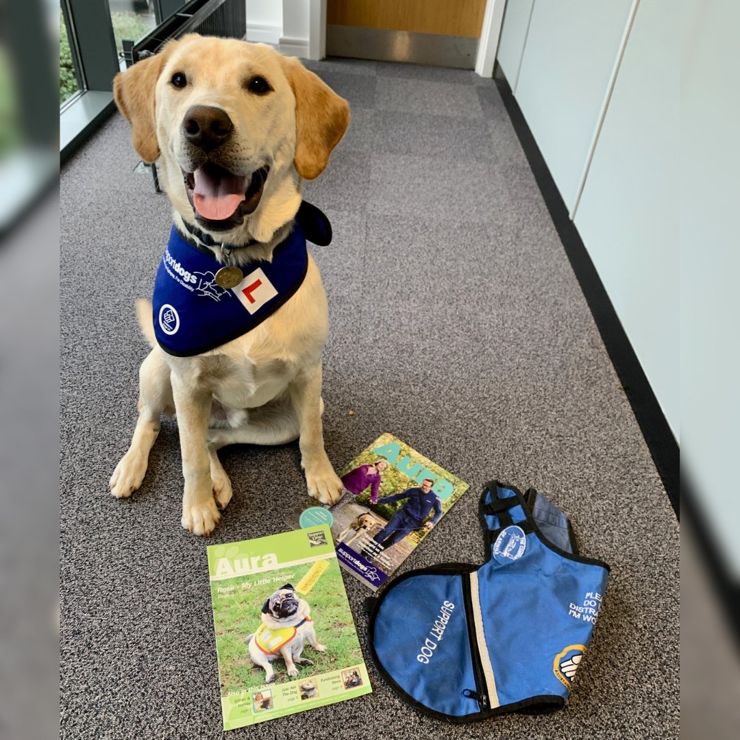 It's #NationalOldStuffDay and pup in training Newton has been digging through our archives to find one of the first editions of our Aura magazine and an old Support Dogs jacket! Can you notice any differences?