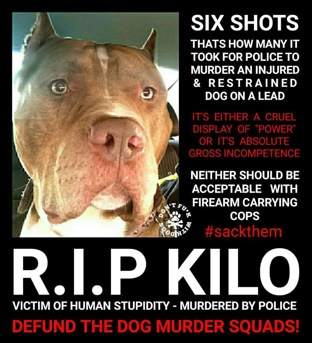 Sisi1181's tweet photo. @RishiSunak has diverted valuable police resources away from real crime to act as dog patrols.
The precedence to shoot dogs on leads was set 7th May 2023.
#justiceformarshallandmillions
#justiceforrocco
#justiceforkilo https://t.co/FL8yIQEP9m