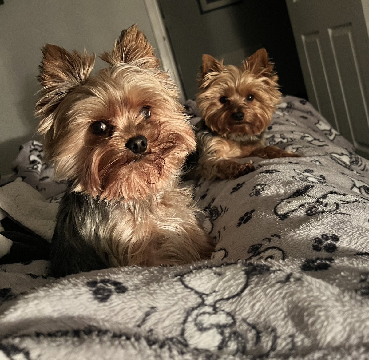 Night night luv. We’ll keep ya safe #ZSHQ