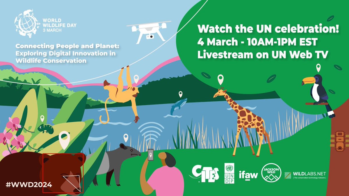 On March 4 🗓️, join @CITES @UNDP @ifawglobal & @JacksonWild to celebrate @UN #WorldWildlifeDay ! Hear from @ASteiner, @ITUSecGen, @gioasempre & other experts on how #DigitalInnovation can drive Wildlife Conservation. #WWD2024 🕐10AM EST 📺 👉🔗 bit.ly/3uRE2Yq