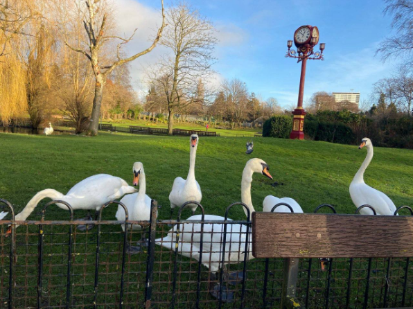 Always find a way to have a beautiful day, appreciate small things🥰