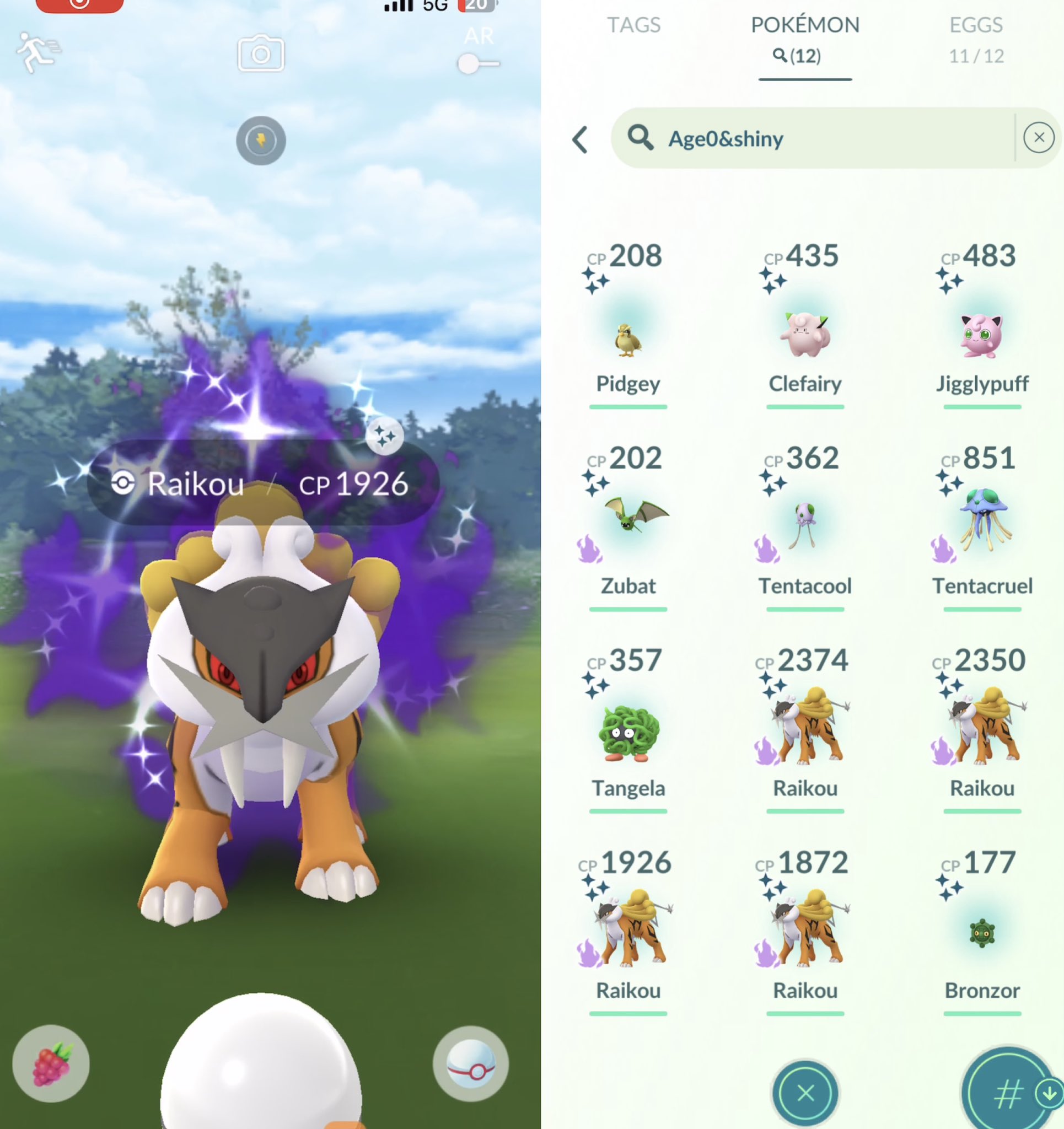 Unveiling Pokémon GO's Shiny Secrets: Raikou, tei, and Suicune-Find