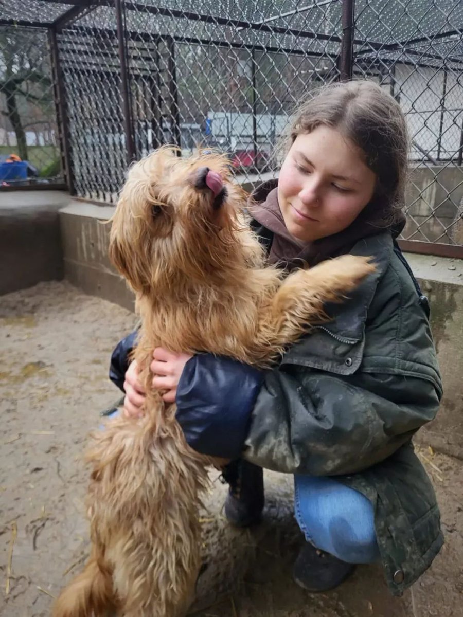 Pies do adopcji, Milanówek
Honey i Lorenco Taka parka trafiła niedawno do schroniska:...
wieszgdziezwierz.pl/psy/do-adopcji…
#piesdoadopcji #doadopcji #pies #adoptuj #niekupujadoptuj #milanówek