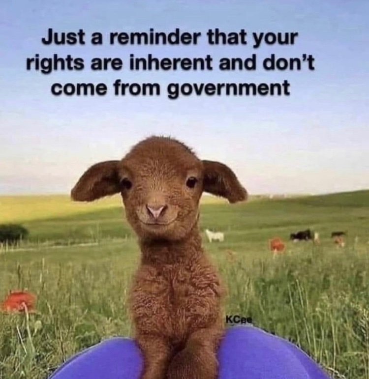 As Spring approaches before the Summer - my favourite time of year is Easter - stand free o yee little lambs of God. 

God bless you, keeping hope in your heart the fuel of progress

#StandFree
#BodilyIntegrity 💖💡💡