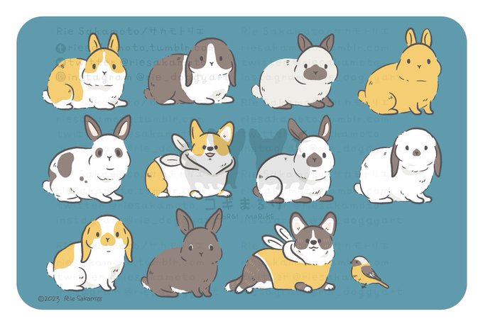 「animal dog」 illustration images(Latest)｜21pages