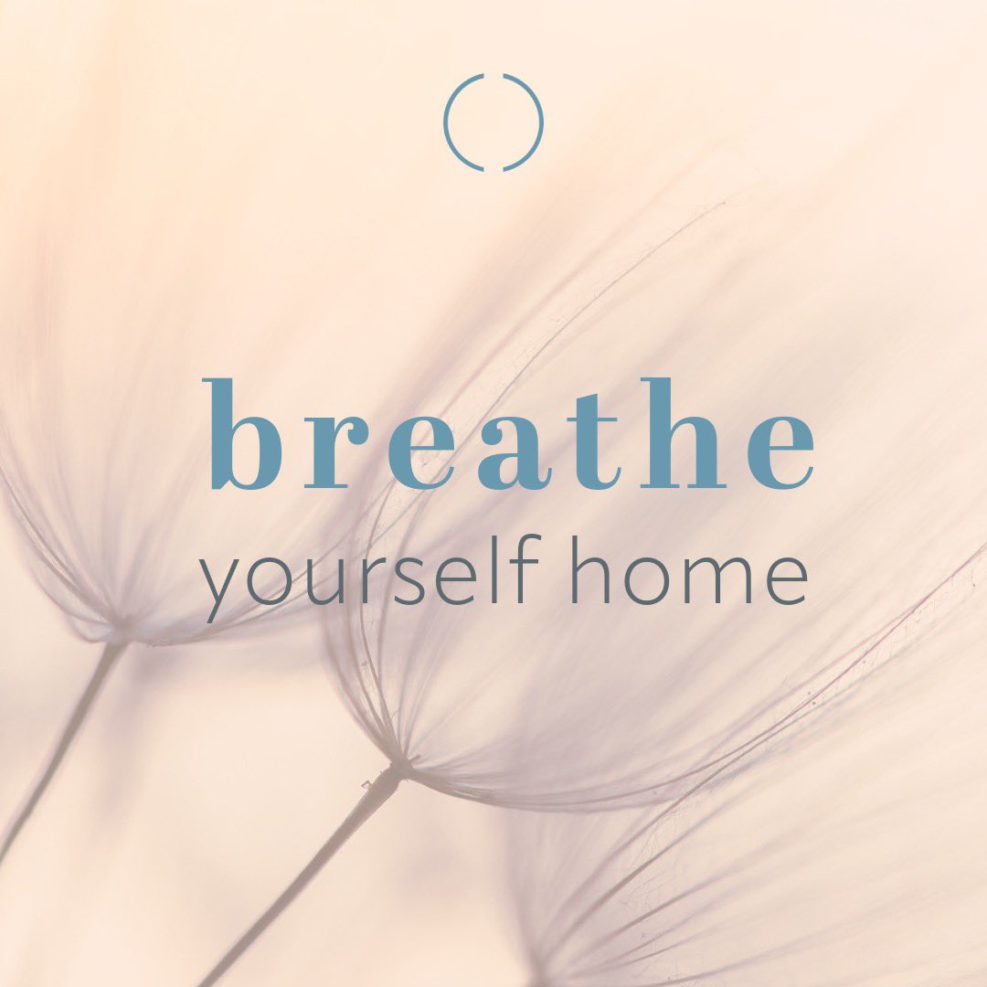 New meditation ‘breathe yourself home’ coming in tomorrow’s newsletter. Start Sundays with happiness - sign up: orlaithosullivan.com/sign-up