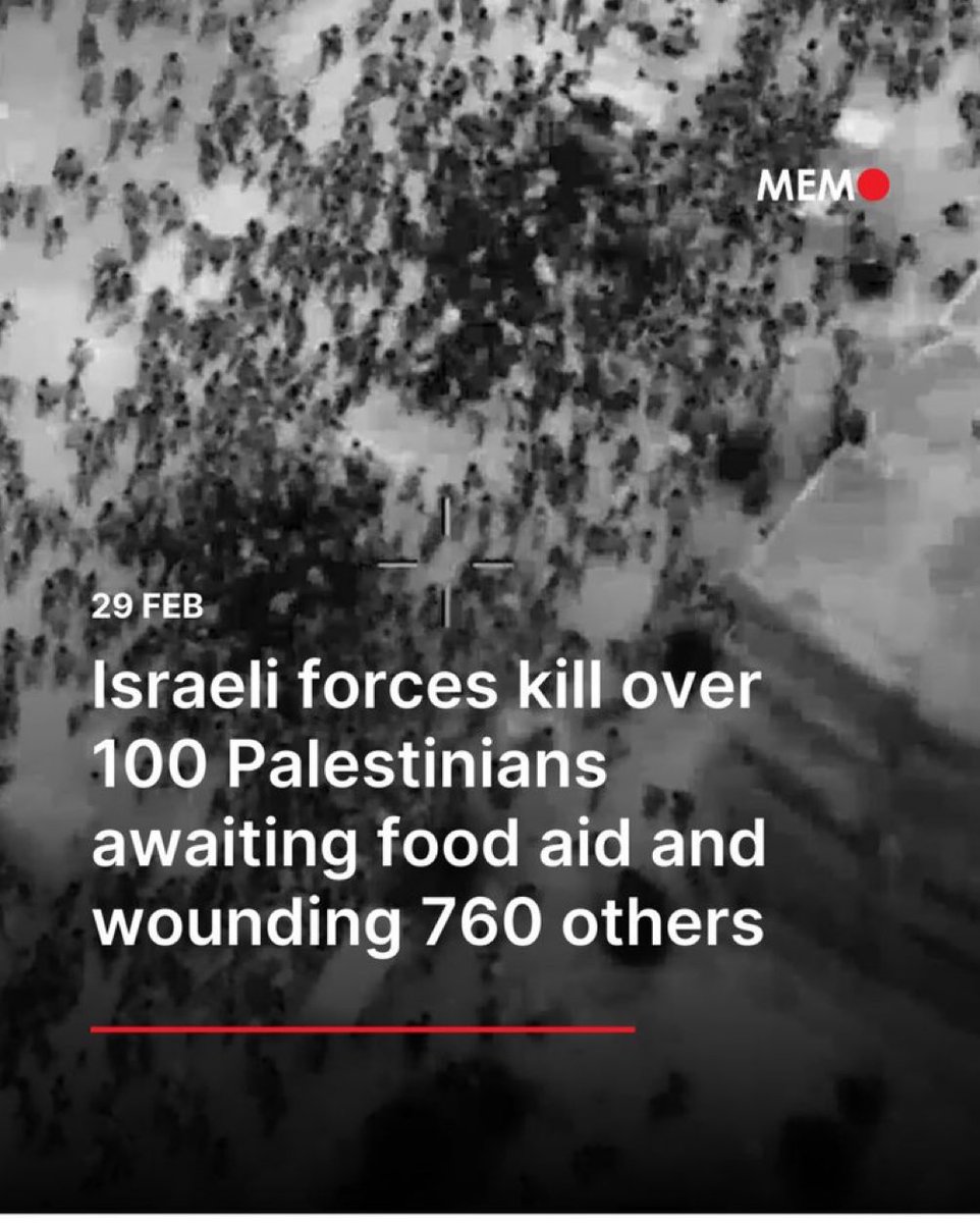 🇲🇨 Ant Colony Army 🇯🇴 tweet media