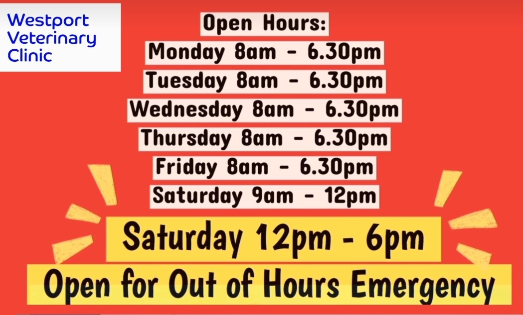 ❗️Westport Vets is open this afternoon for Emergency Out of Hours service❗️ If you have an emergency, please call the usual practice number, and our out of hours team can assist! ☎️Linlithgow: 01506 844165 ☎️South Queensferry: 0131 331 3451 ☎️Edinburgh: 0131 317 8150