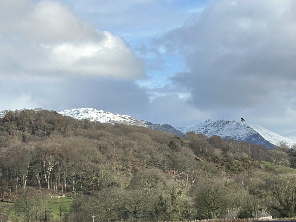 Good to see that Spring has now officially arrived in #Wasdale this morning 🙂