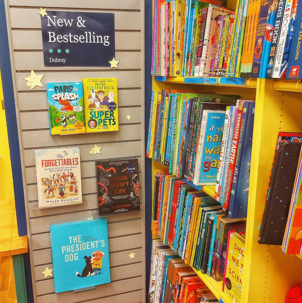 Some of the bestselling Irish children's books right now at #DubrayRathmines #DiscoverIrishKidsBooks @EllenRyanWrites @donnellypa @MylesDungan1 @SheenaDempsey @ProfNoelFitz dubraybooks.ie