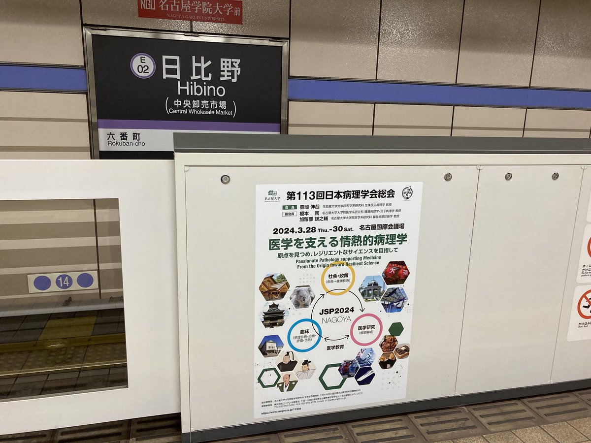 Shinya Toyokuni tweet media