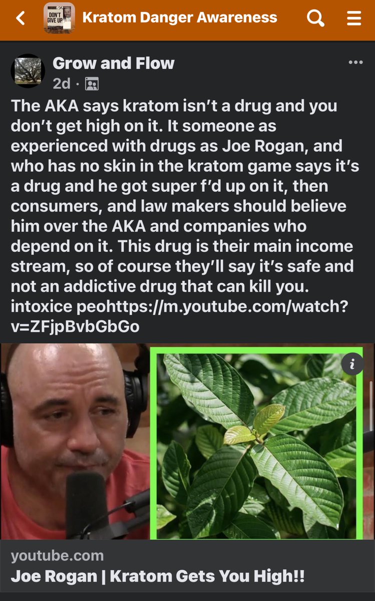 KDA (Kratom Danger Awareness) is a DANGEROUS group of extremists who believe they have the right to dictate what WE put in our bodies. While the loss of a loved one is a tragic event, I have to ask, WHY HAS NO ONE IN INDONESIA EVER DIED of a "Kratom overdose?" Because if there is