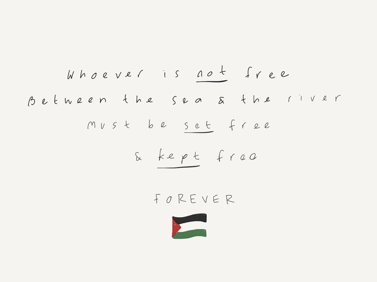 Cheryl Reynolds 🐕‍🦺📚🚲🎭🧘🏼‍♀️🇵🇸 tweet media