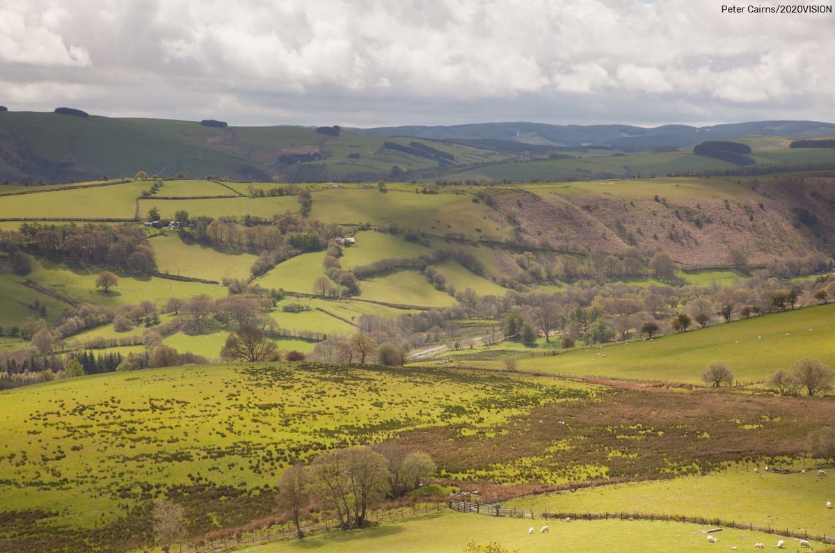 The biggest threat to farming is climate change. The new Sustainable Farming Scheme will help farmers adapt. Have your say 🌱👇 wtwales.org/farming-nature