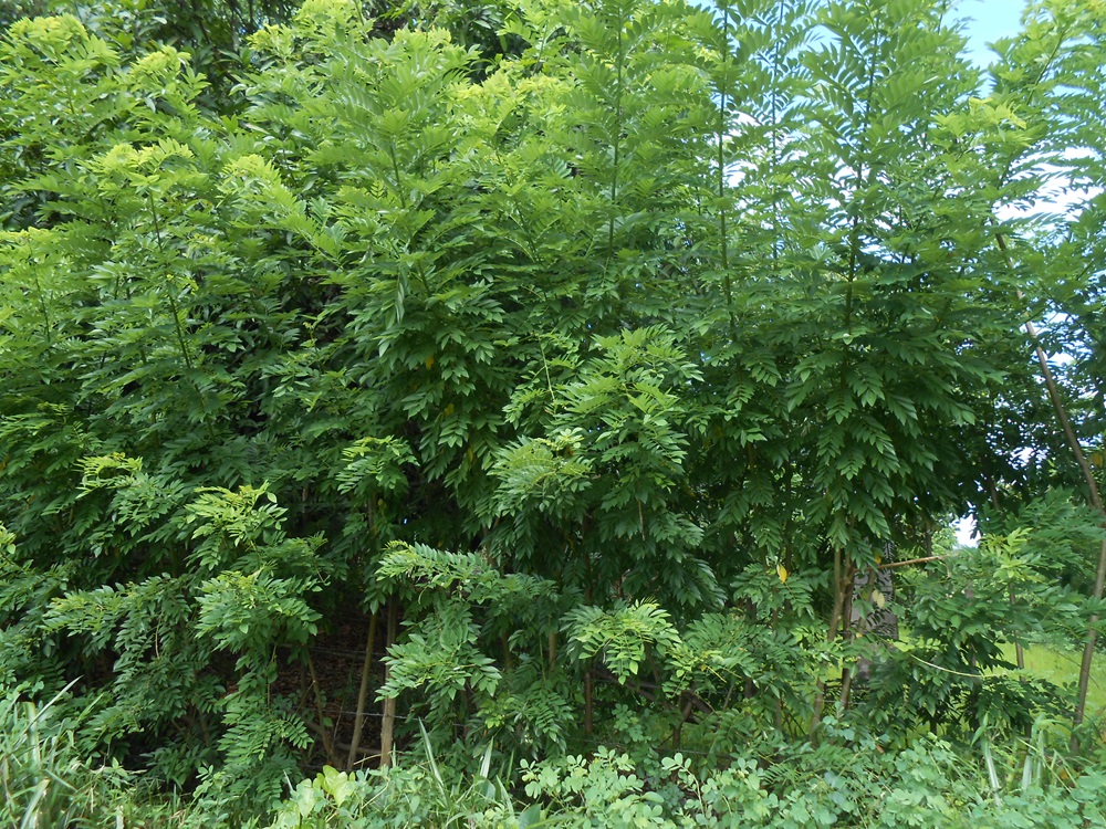 Chris Birkinshaw tweet media