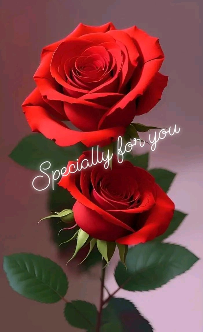 NIMLS's tweet photo. Like if you like https://t.co/YDQOI5El6D