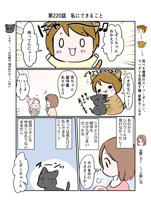 #スパダリにゃんこ#くぅの日常 第220話私にできることハイスペックなスーパーダーリン、スパダリ猫を目指すくぅと、飼い主しずくの日常マンガ。くぅの待つ家へと帰ったしずく、そしてシオ。くぅのひと言で、しずくは自分のある誤解に気がついて…。#猫マンガ 