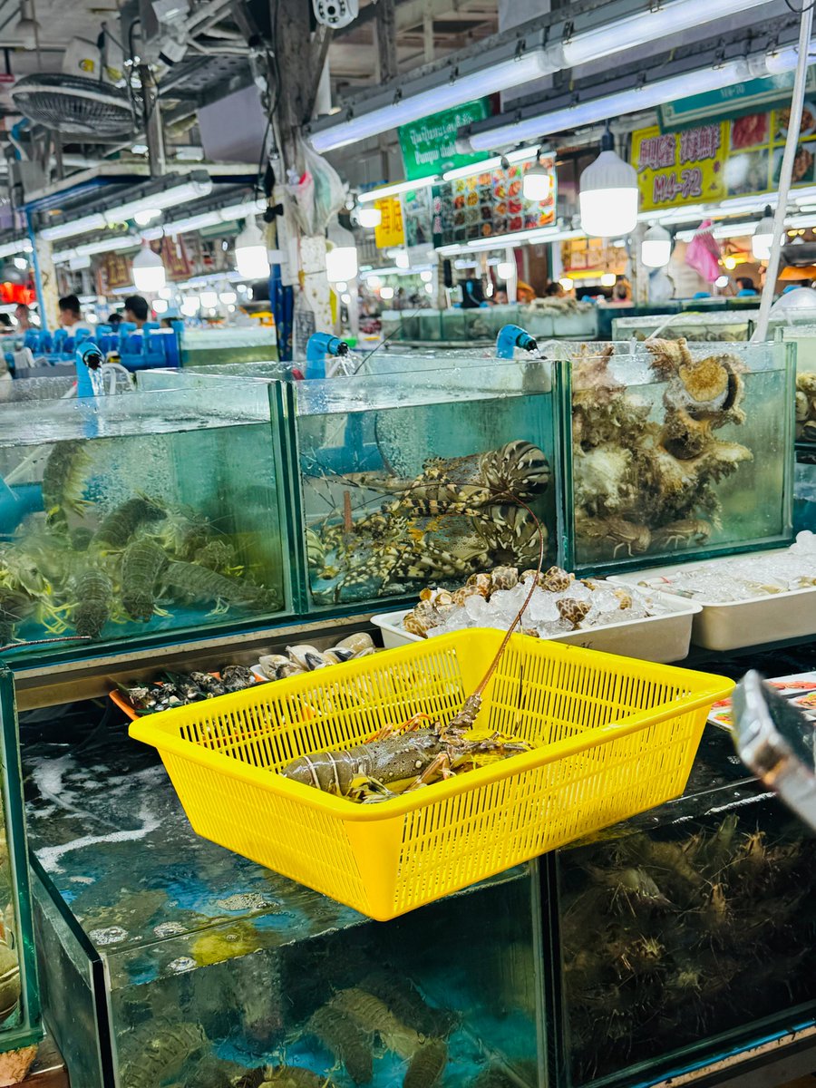 เรามาถึงภูเก็ตแล้วครับ มีเพื่อนๆ ที่ภูเก็ตไหม มาเล่นด้วยกันนะครับ 🏝️👬

#ทาสเท้า
#นายหญิง
#ทาสตีน
#ถุงน่อง
#ถุงเท้าคาร์สัน
#ทาสเท้า
#เรียลมัธยม
#เรียลมหาลัย
#เลียตีน