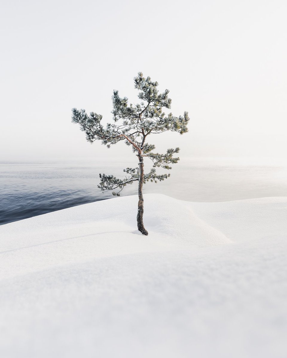 MikkoLagerstedt tweet picture