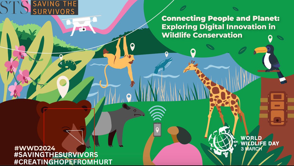 🌍Celebrate World Wildlife Day, 3rd March 2024 with us! This year, we're spotlighting how digital innovation has revolutionised wildlife conservation. From AI tracking collars to digital fundraising Read our full celebration of how we use Digital Tech - savingthesurvivors.org/world-wildlife…