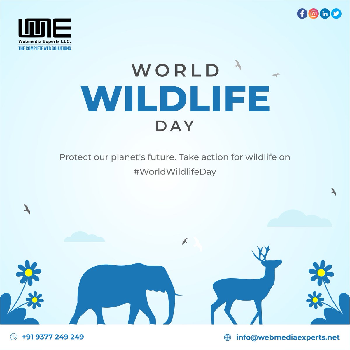 Embrace the beauty of nature and join
hands to safeguard our precious wildlife. Happy World
Wildlife Day! 🌿🐾 #WildlifeDay #ProtectOurPlanet

#webmediaexperts  #erpsoftware #schoolsoftware
#WorldWildlifeDay #ProtectWildlife #educationsoftware
#websitedevelopment