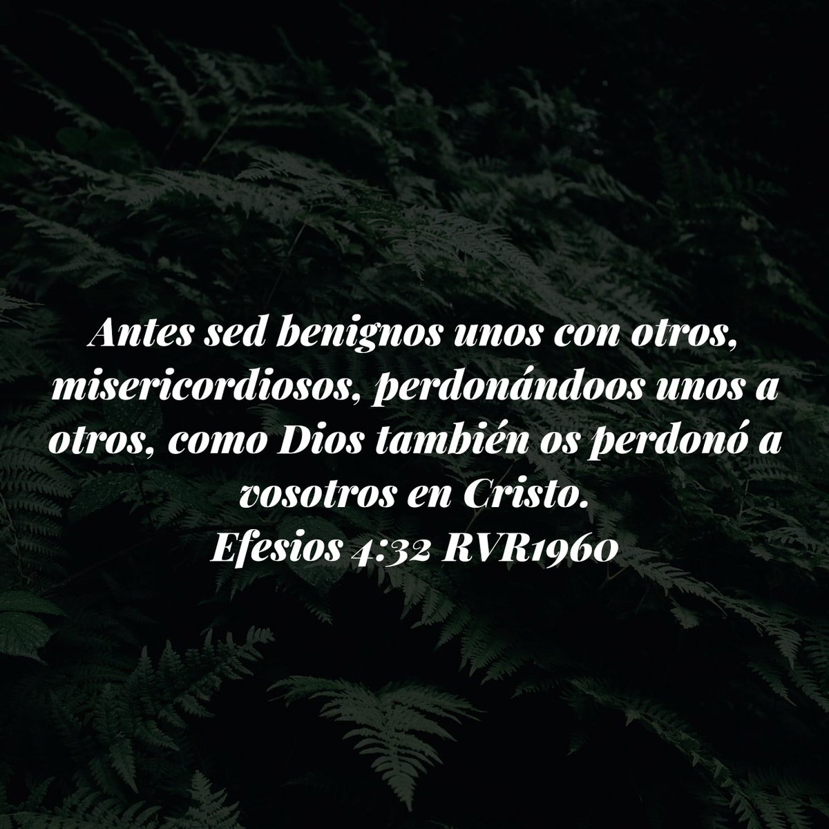 Buenos días. Dios te bendiga grandemente. #FelizFinDeSemanaParaTodos