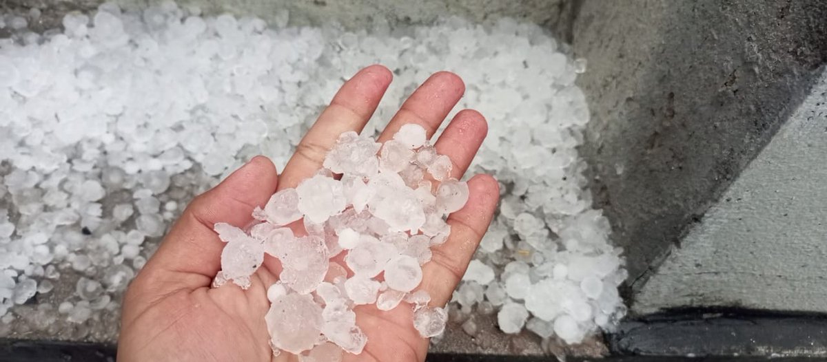 Craig Raw 🐦 tweet media