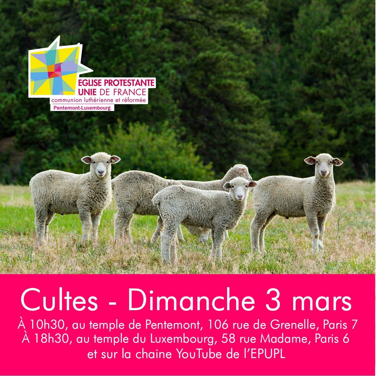 paroissepentlux's tweet image. "Jésus = berger..."
"Nous = mountons ?" Une #prédication de la pasteure Sophie Ollier à écouter ce dimanche lors de nos cultes.
#pasteurdudimanche #protestants #pentemontluxembourg