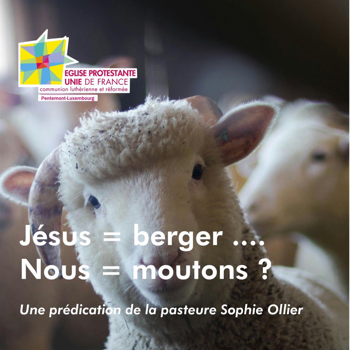 paroissepentlux's tweet image. "Jésus = berger..."
"Nous = mountons ?" Une #prédication de la pasteure Sophie Ollier à écouter ce dimanche lors de nos cultes.
#pasteurdudimanche #protestants #pentemontluxembourg