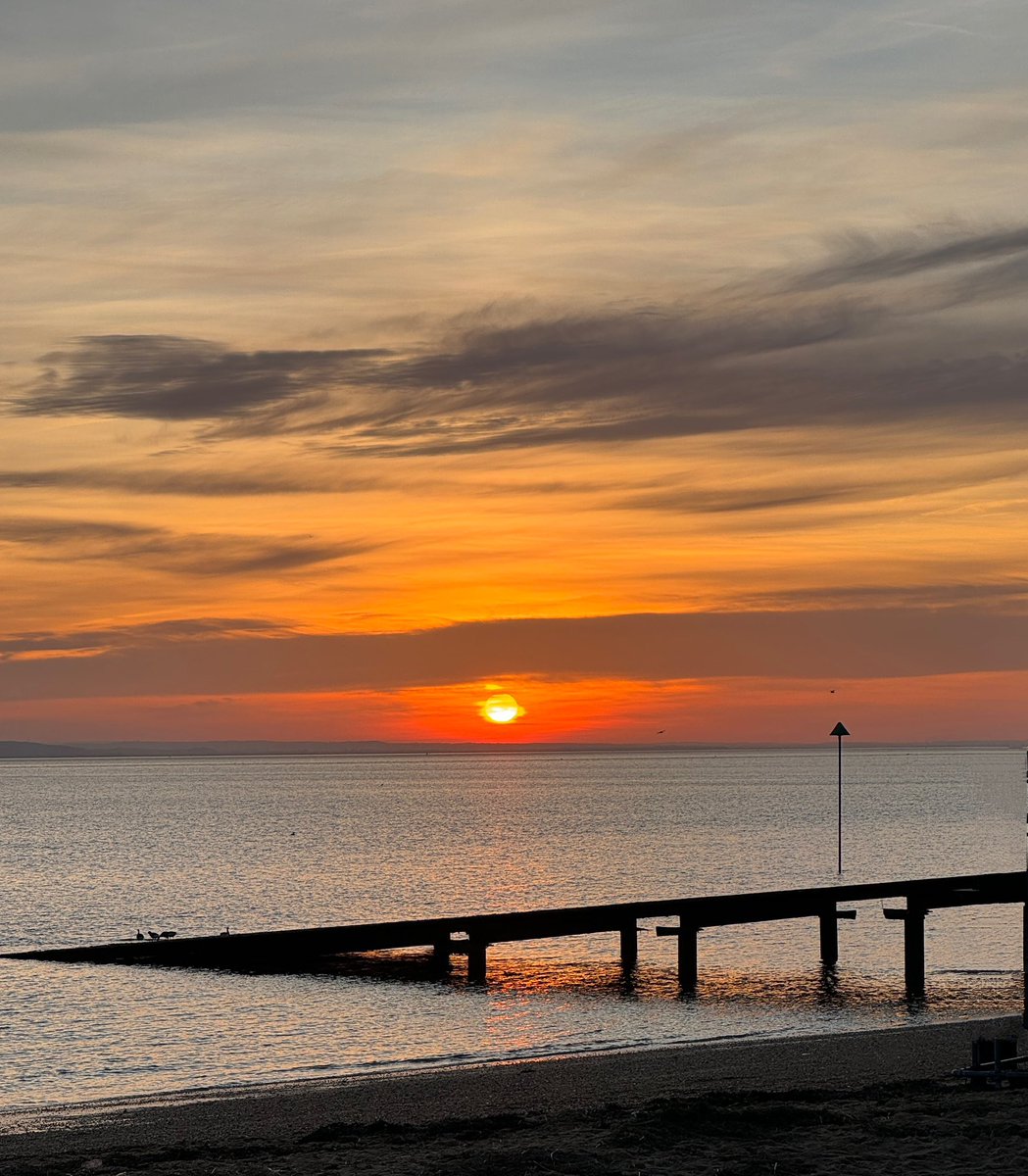 #iSpy 📸 … everyday IS a photo opportunity! tweet media