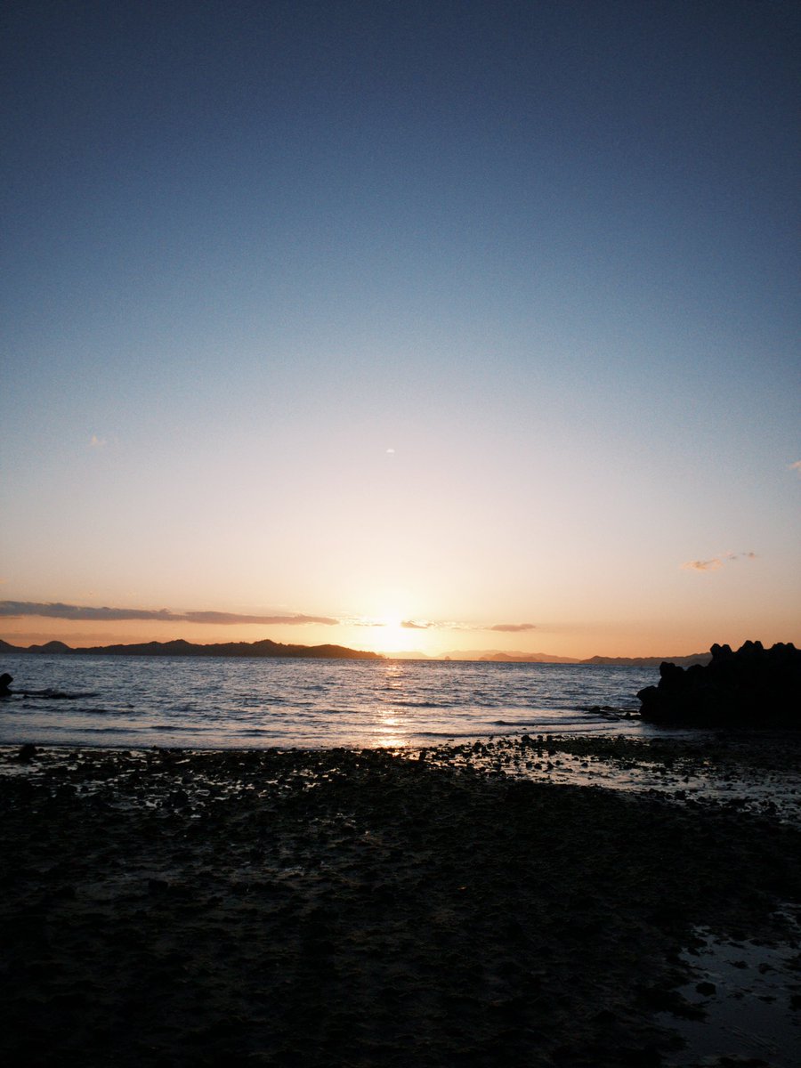 0112Zzz's tweet photo. 今年も実家近くの河津桜を見れてよかった。
澄んだ冷たい空気が身体を包んで
静かに呼吸を整えてくれる。
とても幸せな光だった。 https://t.co/khSLrziKfE