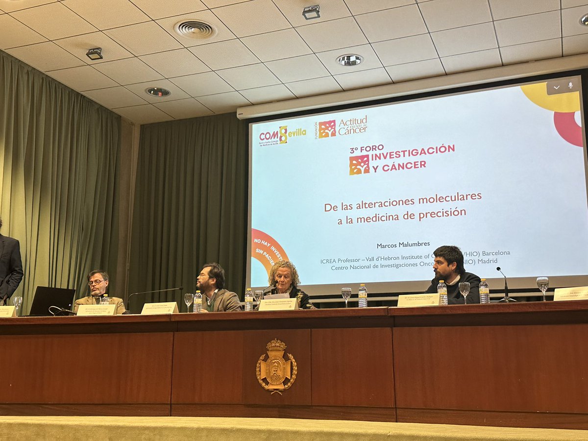 No hay investigación sin investigación básica, fundamental para poder desarrollar la investigación clínica y farmacológica. Estupendo escuchar a @m_malumbres en el 3ºForo Investigación y Cáncer #EsperanzaActiva @actitud_cancer