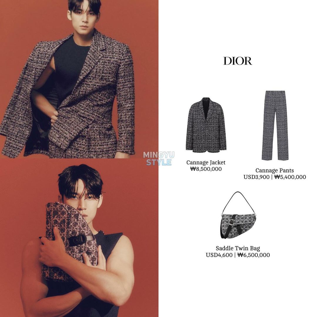 Kim Mingyu Global on X: 