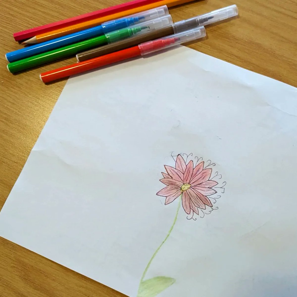 The Haideh & Nejad Project tweet media