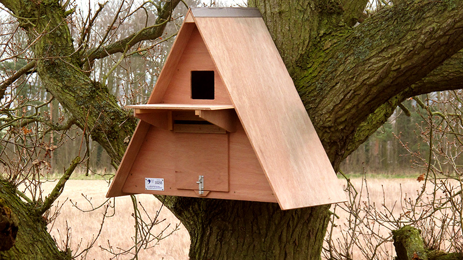 Landowners in the South East region are needed to help install raptor boxes. If you have at least 5 acres with trees/outbuildings near grassy areas, we'd like to work with you. Specific postcode areas needed: RH, TN, BN, ME, CT.' To register your interest: ow.ly/JnAq50QHKY8