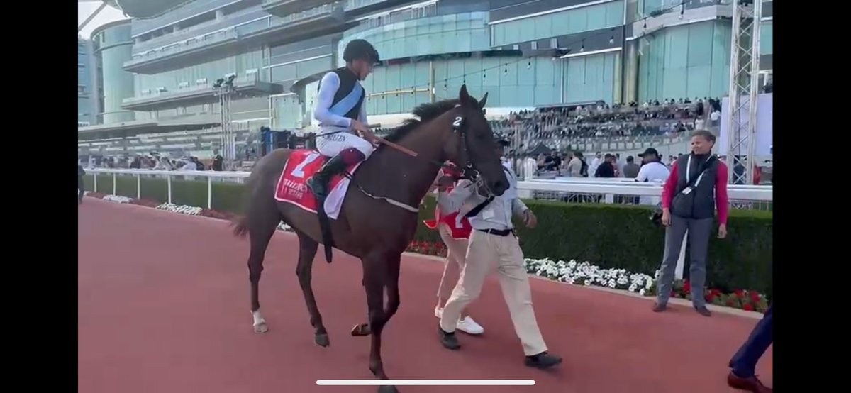 MeahLloyd's tweet image. Another huge run from GEOLOGIST to finish 2nd in the Jumeirah Guineas @RacingDubai. Fantastic job by @almracing and her team for great owners @EclipseTBP, she was purchased for just 35’000 at @Tattersalls1766 #stakeswinninghistory